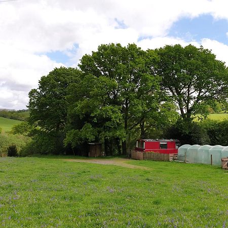 The Megabus Near Tavistock And Dartmoor. Hotel Lamerton Exterior photo
